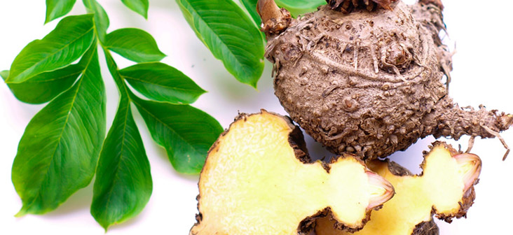 découvrez les légumes coupe-faim, des alliés naturels pour contrôler votre appétit et favoriser votre bien-être. apprenez à les intégrer dans votre alimentation quotidienne pour une sensation de satiété prolongée et une meilleure gestion de votre poids.