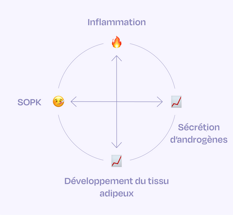 découvrez des stratégies efficaces pour la perte de poids en lien avec le syndrome des ovaires polykystiques (sopk). apprenez comment optimiser votre santé et gérer vos symptômes grâce à une alimentation adaptée et des conseils pratiques.