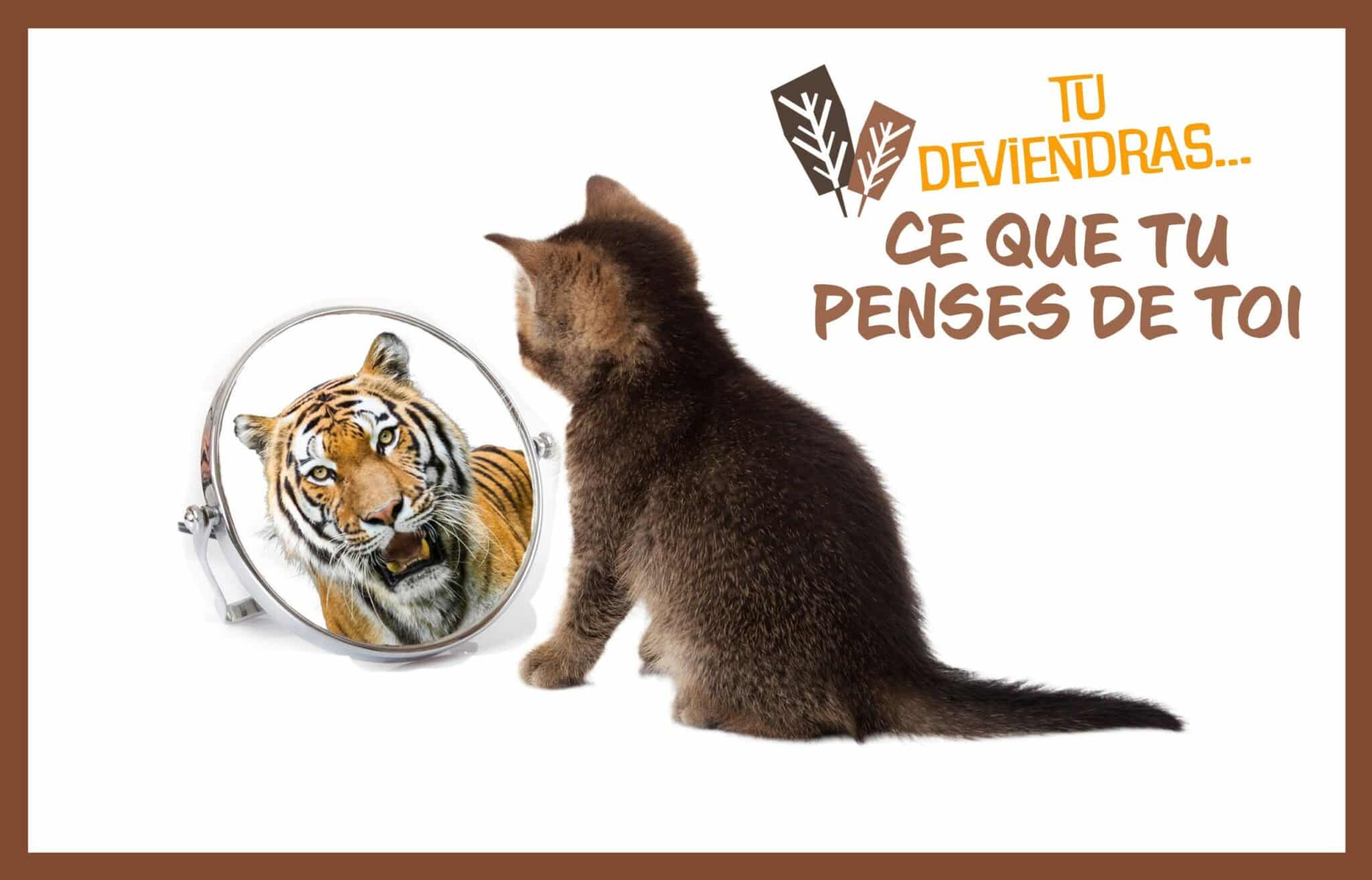 découvrez comment développer votre confiance en soi grâce à des techniques éprouvées, des conseils pratiques et des exercices quotidiens. renforcez votre estime personnelle et atteignez vos objectifs avec assurance.