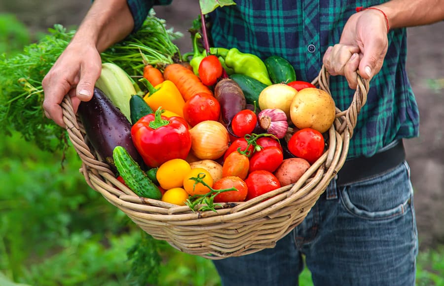 découvrez l'importance d'une alimentation équilibrée pour votre santé. explorez des conseils pratiques, des recettes savoureuses et des informations nutritionnelles pour vous aider à adopter un mode de vie sain.
