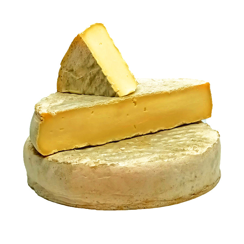 découvrez notre sélection de fromages estivaux, parfaits pour égayer vos plateaux apéritifs et pique-niques. profitez de saveurs légères et rafraîchissantes qui sauront séduire vos papilles tout au long de l'été.