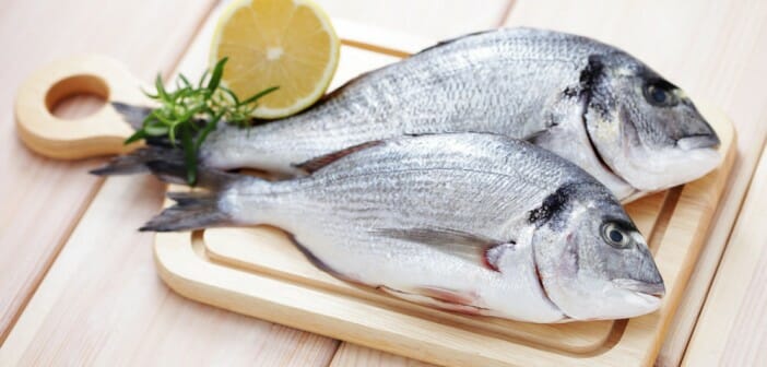 découvrez les poissons minceur recommandés par les diététiciens pour une alimentation saine et équilibrée favorisant la perte de poids.